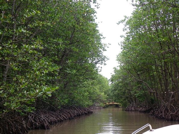 1-Day Can Gio Island-Mangrove Biosphere Reserve-Trekking - Key things you’ll notice on this Can Gio tour