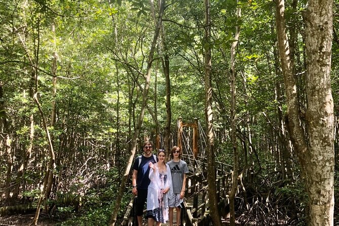 1-Day Can Gio Island-Mangrove Biosphere Reserve-Trekking - Lunch, seafood market, and fruit tasting that feels like local life