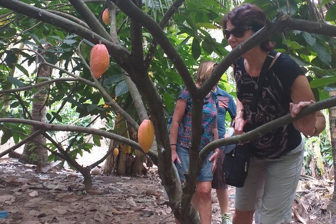 2-Day Mekong Delta with Cai Cang Floating Market from HCM City - Price and value: what $245 buys in real life