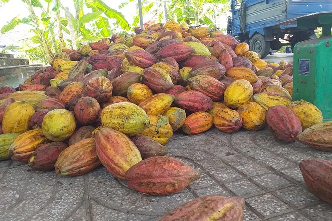2-Day Mekong Delta with Cai Cang Floating Market from HCM City - Day 1: Cai Be day starts early (7:30 pickup) and moves fast