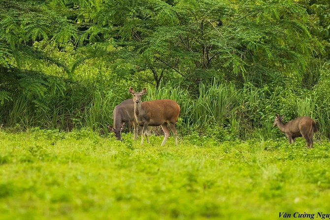 2-Day Trekking & Biking Nam Cat Tien National Park from HCM City - Pace, fitness, and the rain/leech reality check