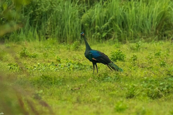 2-Day Trekking & Biking Nam Cat Tien National Park from HCM City - Who this tour suits best (and who should choose differently)
