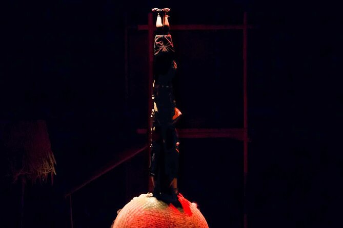 A O Show - Included: Tour guide, Car Pick Up And Drop Off - Lune Production at the heart of the story
