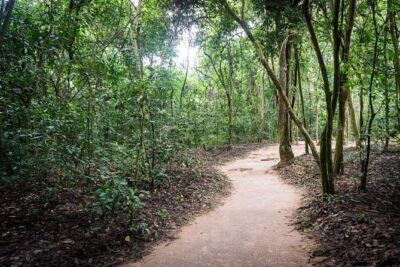 Afternoon Cu Chi Tunnels - Small Group Half-Day Tour - What the tour feels like inside the tunnels (and what to watch for)