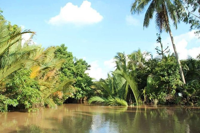 Authentic 'Non-Touristy' Mekong Delta Ben Tre 1 Day Private Tour - Ben Tre by Private Minivan: the 2-hour getaway that sets the tone