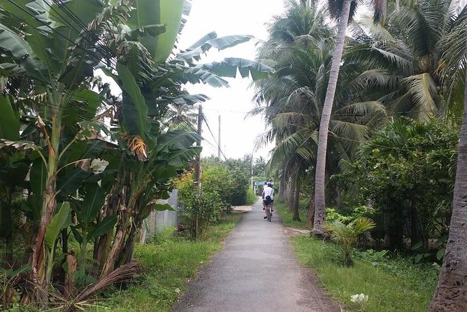Authentic 'Non-Touristy' Mekong Delta Ben Tre 1 Day Private Tour - Coconut production and a local home visit: learning that sticks