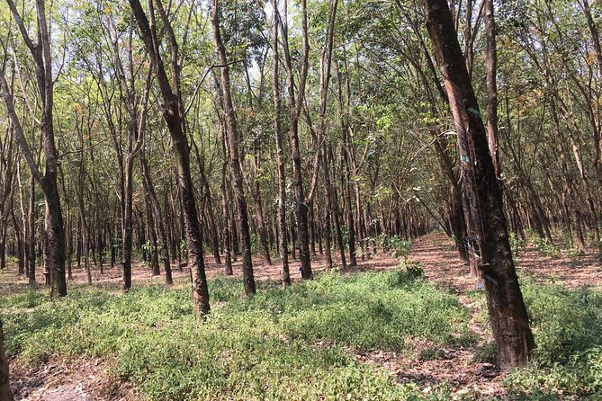 Ben Duoc - Authentic Cu Chi Tunnels Private Tour - Transportation and timing: A 6-hour day that still has room to breathe