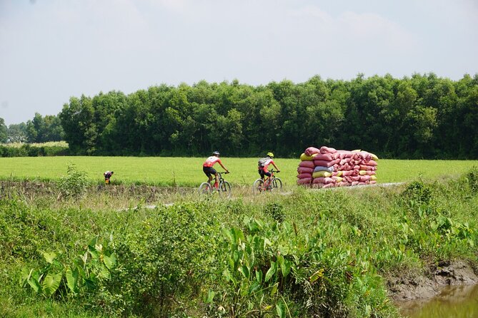 Bike And Boat Mekong Delta Cycling Tour - Long An Province: Rice Paddies, Dirt Paths, and Quiet Workdays