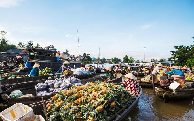 Cai Rang floating market and Mekong Delta Private Tour from HCMC - Vinh Long Province Stop: A Fruit Market Break Between Big Acts