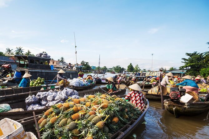Cai Rang Floating Market & Mekong Delta 2-Day Tour from HCM City - The best reasons to do this tour in the Mekong Delta