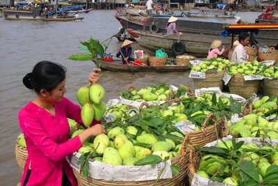 Cai Rang Floating Market & Mekong Delta 2-Day Tour from HCM City - Day 1 from Ho Chi Minh City to My Tho and Ben Tre