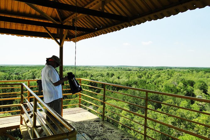 Can Gio Mangrove Eco And Wildlife Discovery Tour - Monkey Island and Can Gio Museum: learning before you look