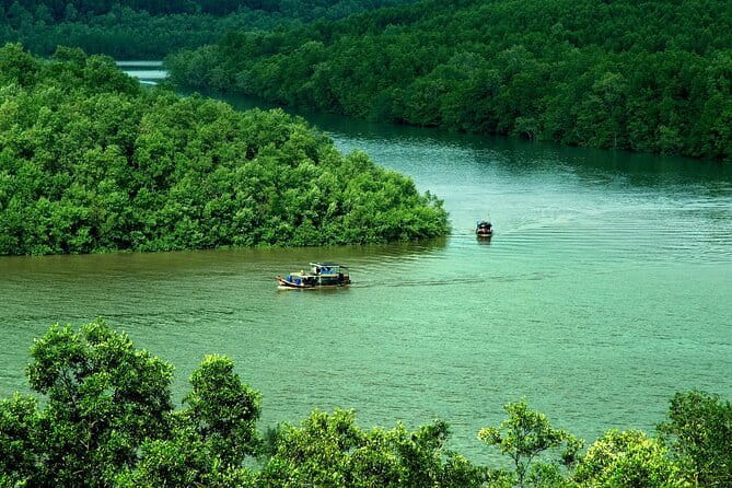 Can Gio Mangrove Forest Island Private Tour From Ho Chi Minh City - Key Things I’d Put on Your Must-Do List