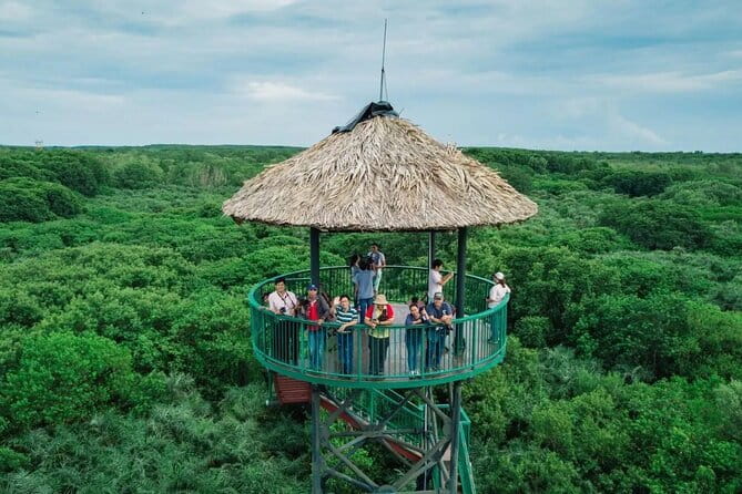Can Gio Mangrove Forest Island Private Tour From Ho Chi Minh City - Monkey Island: The Best Show in Town Comes With Real Rules