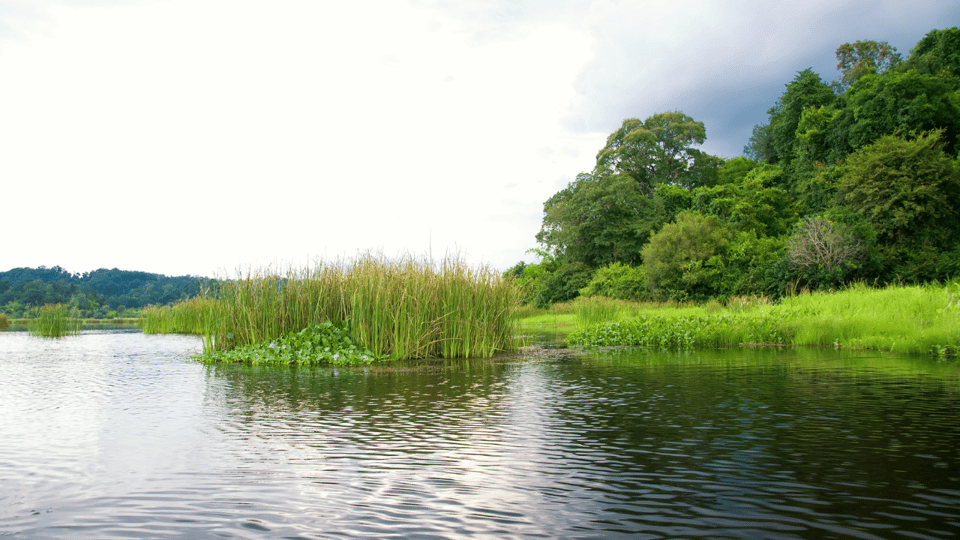 Cat Tien National Park with Crocodile Lake - Should you book Cat Tien National Park with Crocodile Lake?