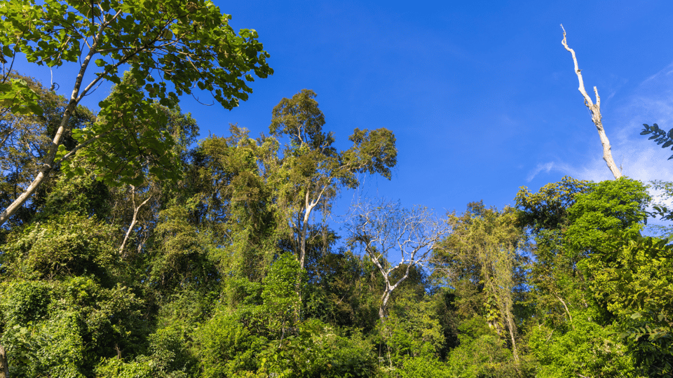 Cat Tien National Park with Crocodile Lake - How the two days actually flow (and why that matters)