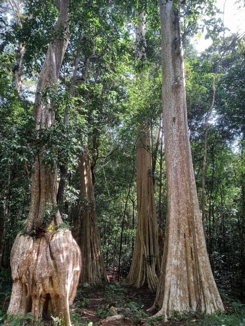 Cat Tien National Park with Crocodile Lake - Green Hope Lodge and meals: comfort without spoiling the wildlife day