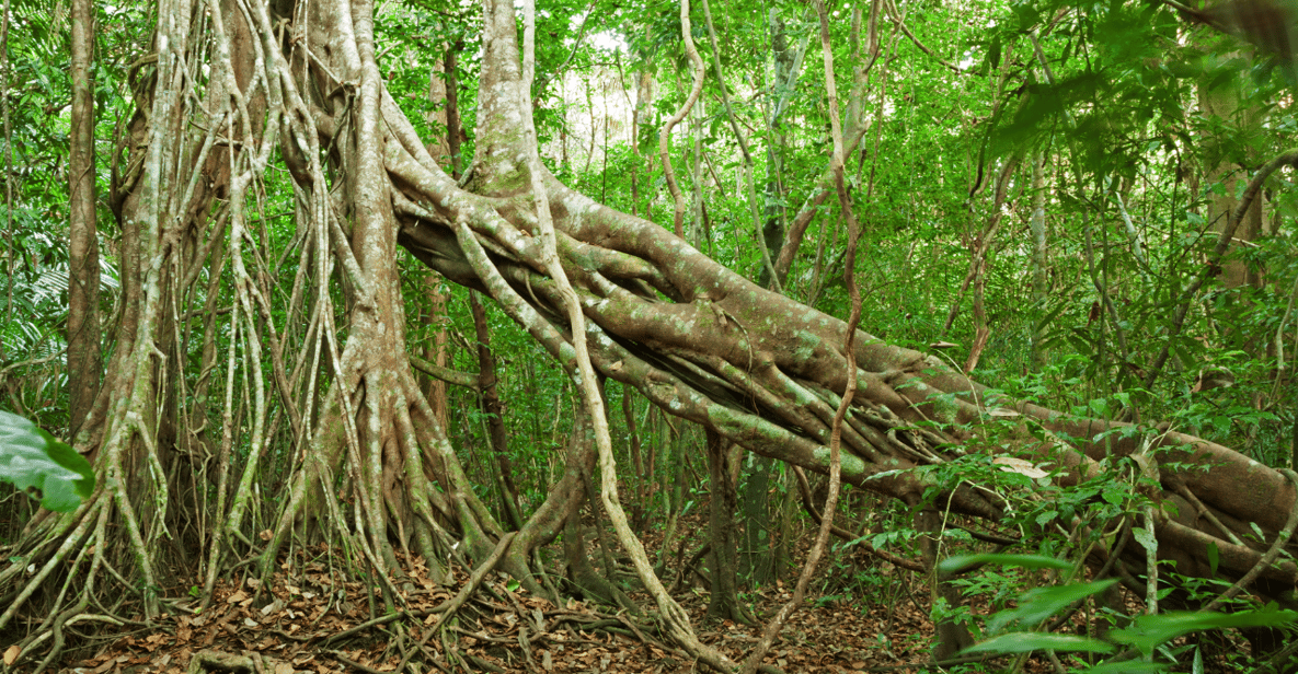 Cat Tien National Park with Crocodile Lake - Price and value: what $165 is really buying