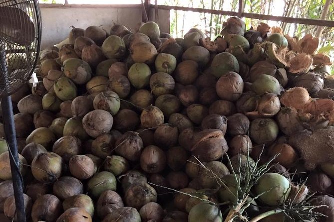 Cu Chi And Mekong Full Day Trip - Southern Music and Tropical Fruit Tasting