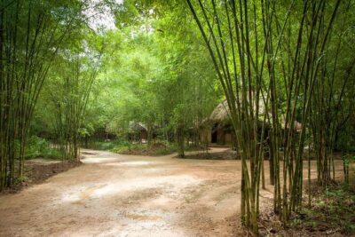 Cu Chi Tunnel Half Day - Small Group Tour - District 1 Pickup and How the Day Really Runs