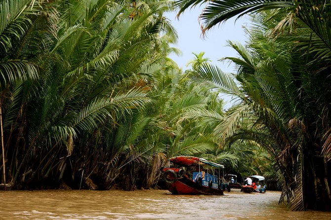 Cu chi Tunnel & Mekong Delta Full Day BBQ Lunch Lux Group 10 pax - Entering the Cu Chi Tunnels: survival, strategy, and what the guide points out