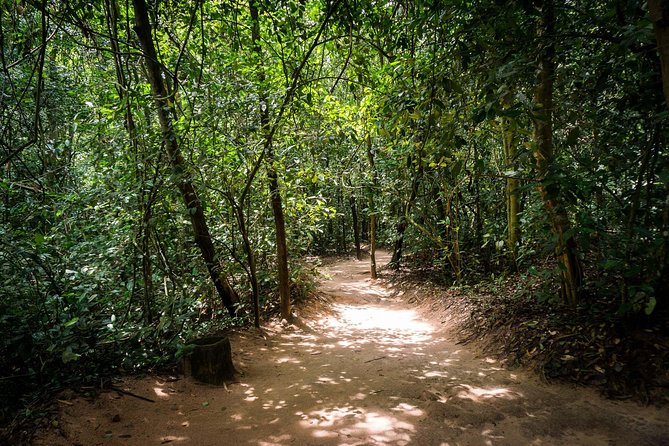 Cu Chi Tunnels Half-Day Tour: Vietnam War Underground Network - Entering the tunnels: what you should expect underground