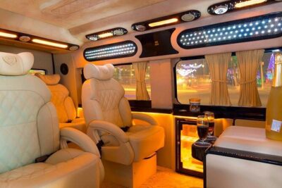 Cu Chi Tunnels & Mekong Delta Tour with VIP Limousine Transfer - Cu Chi Tunnels: what the tunnel crawl teaches you