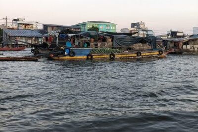 Deluxe Mekong Delta Tour to Floating Market 2 Days 1 Night Trip - Morning start in Ho Chi Minh City: pickup, timing, and how the day flows