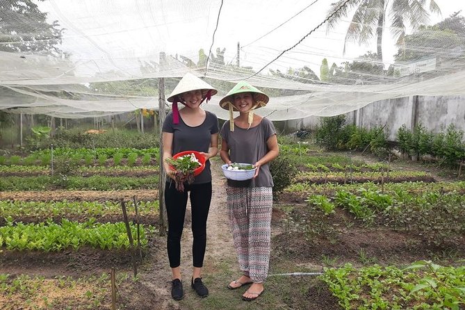 Discover vietnamese Agriculture,culture ,Cuisine and Cu chi Tunnels in Saigon - Rice Paper, War-Time Food, and the “Why” Behind the Menu