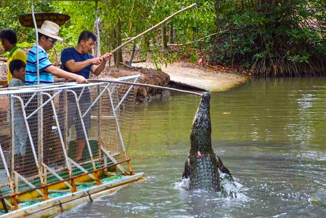 Explore Monkey Islands and Gio Mangrove Forest From Ho Chi Minh - Getting from the city to the mangroves without wasting the day