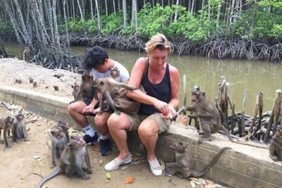 Explore Monkey Islands and Gio Mangrove Forest From Ho Chi Minh - Price and logistics: what you get for $35