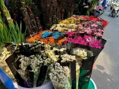 Free E-Sim Saigon Hidden Gems Tour with Local Guide - Ho Thi Ky Flower Market: More Than Pretty Blooms