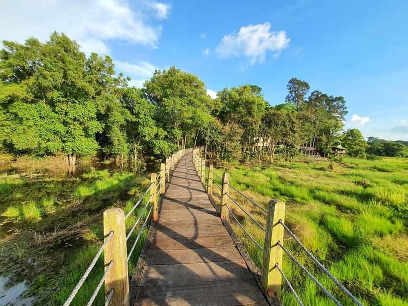 From HCM: Cat Tien Park Jungle Day Trip with Optional 2D1N - Jungle trekking in Cat Tien National Park: what you’ll actually walk past
