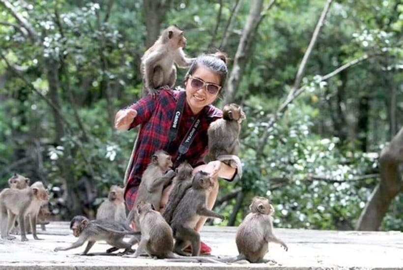 From Ho Chi Minh: Can Gio Monkey Island & Mangrove Tour - Quick take: what’s great and what to watch