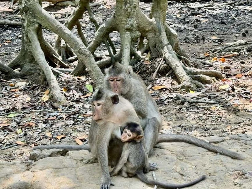 From Ho Chi Minh: Can Gio Monkey Island & Mangrove Tour - Can Gio Resort beach time: your payoff for doing the long day