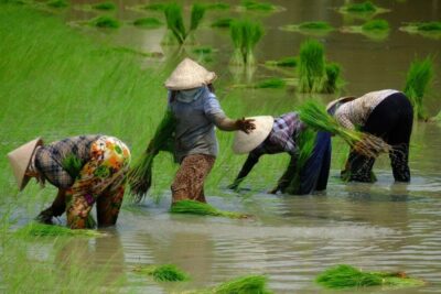 From Ho Chi Minh City: Mekong Delta Full-Day Private Tour - Cai Be: boarding a private sampan at the floating market