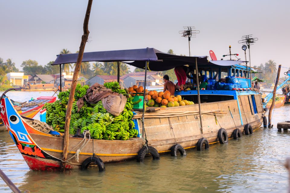 From Ho Chi Minh City: Mekong Delta Full-Day Private Tour - Tan Phong Island cycling: local families, rice paper, and home roofs