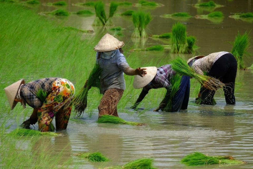 From Ho Chi Minh City: Mekong Delta Full-Day Private Tour - Cai Be: boarding a private sampan at the floating market