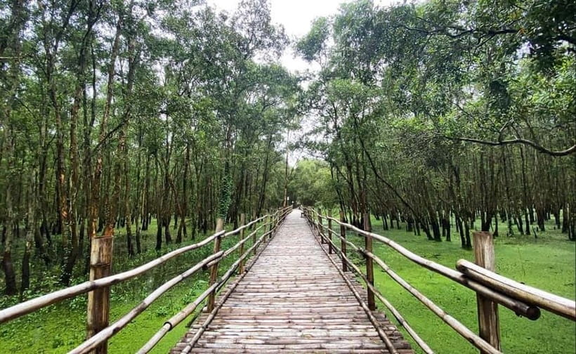 From Ho Chi Minh: Mekong Delta 3-Day Tour with Tra Su Forest - Mekong Delta in 3 days: good value, smart expectations