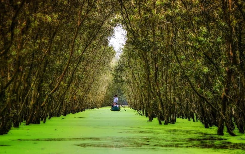 From Ho Chi Minh: Mekong Delta 3-day w Tra Su Forest - Key things to know before you go