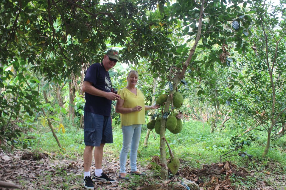 From Ho Chi Minh: Mekong Delta Private Day Tour - Leaving Ho Chi Minh City: getting out to the delta without stress