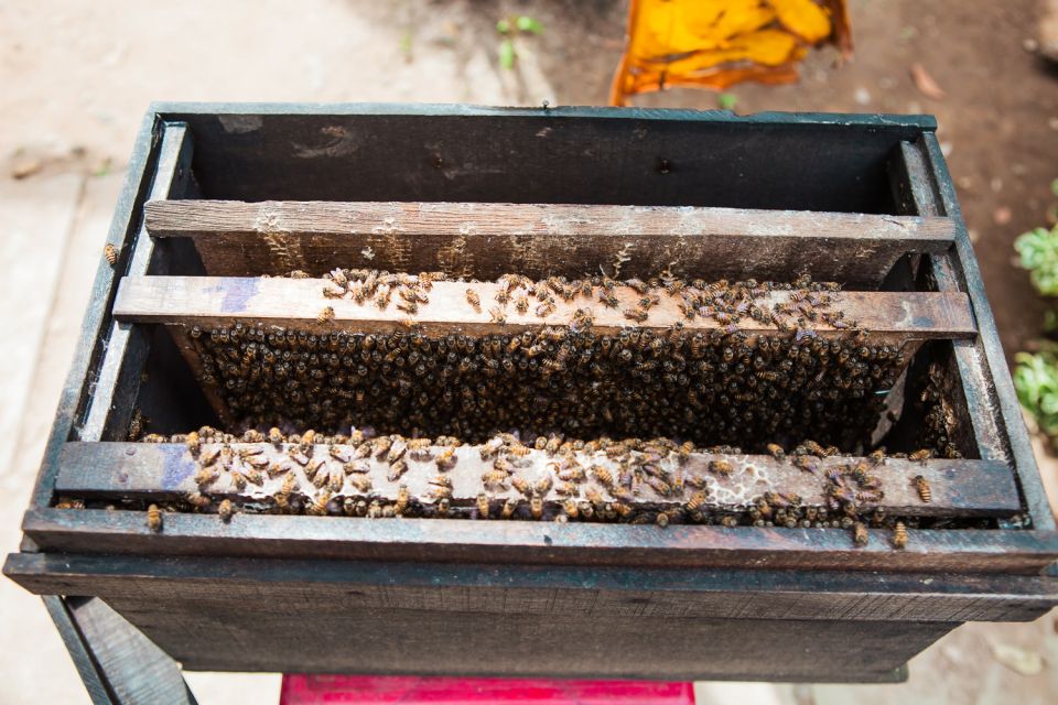 From Ho Chi Minh: Mekong Delta Private Day Tour - Optional python farm: choose your comfort level early