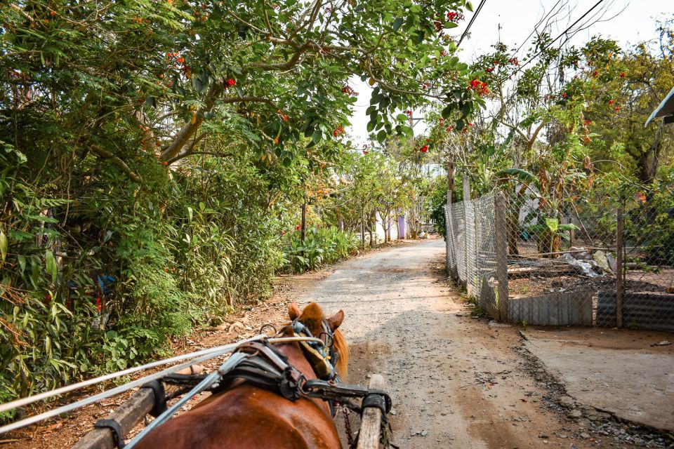 From Ho Chi Minh: Mekong Delta Private Day Tour - Coconut candy workshop: how a snack becomes a local story