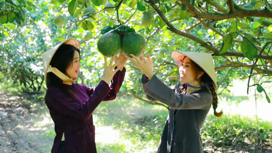 From Ho Chi Minh: Mekong Delta Tour to My Tho & Ben Tre 1Day - Who Should Book This Tour (And Who Might Not Love It)