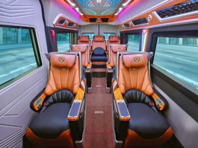 From Ho Chi Minh: Mekong Delta Tour| Vip Limousine Option - The Tiền River long-tail boat cruise: the scenery does the talking