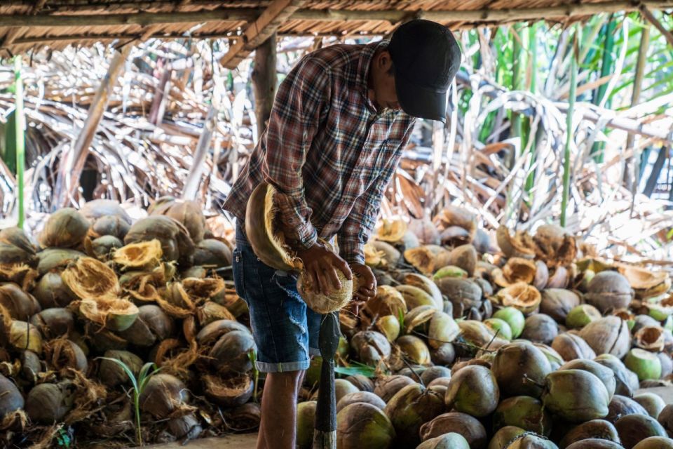 From Ho Chi Minh: Mekong Delta with Ben Tre 1 Day Tour - Timing and Logistics: An Early Start From District 1/3