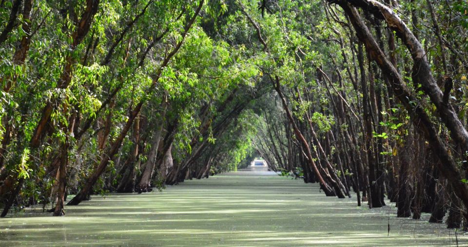From Ho Chi Minh: Three-Day Mekong Delta Tour - Day 2: floating village boats, Ba Chua Xu at Sam Mountain, then Tra Su Bird Sanctuary’s calm canals