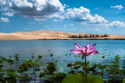 From Ho Chi Minh To Mui Ne Best Day Trip | Sunset Tour - Price and What You Really Get for $64