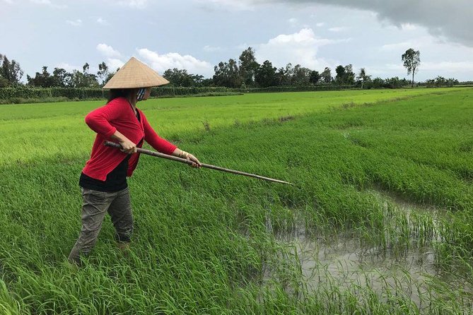 FULL Day - CAI RANG FLOATING MARKET, COOKING CLASS AND EXPLORE THE COUNTRYSIDE - Shopping for the Cooking Class at a Traditional Market