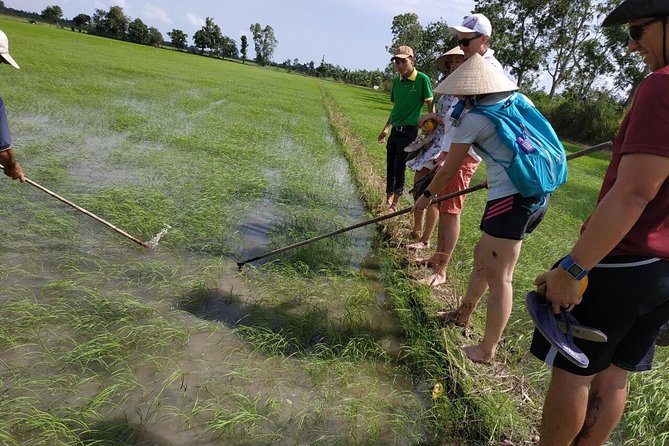 FULL Day - CAI RANG FLOATING MARKET, COOKING CLASS AND EXPLORE THE COUNTRYSIDE - Rice Fields and Seasonal Fruit Gardens: Picking Your Way Through the Countryside